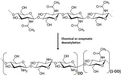 Effects of chitosan on plant growth under stress conditions: similarities with plant growth promoting bacteria